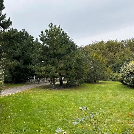 Ameland Reethus In *