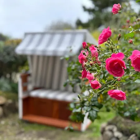 Nyaraló Ameland Reethus In Wenningstedt-Braderup (Sylt)