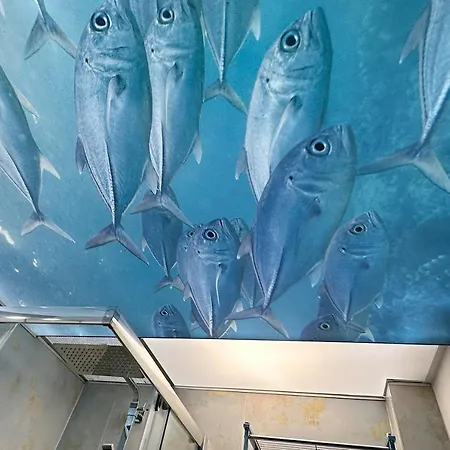 Nyaraló Ameland Reethus In *