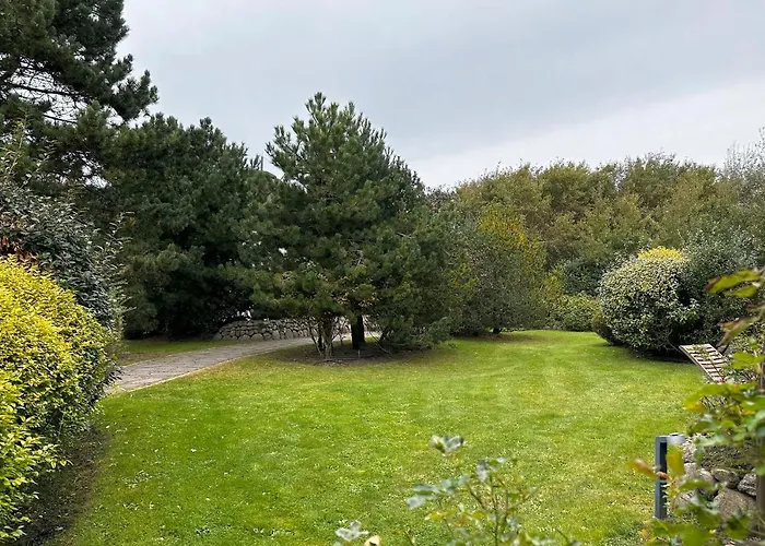 Ameland Reethus In *